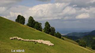 Rasinari Sibiu [upl. by Forcier]