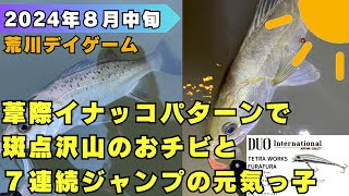 葦際イナッコパターンで斑点沢山のおチビと７連続ジャンプの元気っ子／荒川／デイゲーム／シーバス釣り／湾奥 [upl. by Eiramyelhsa800]