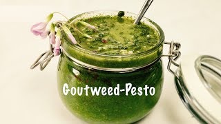 Homemade Fresh Goutweed Pesto Sauce  Wild Herbs  Vegan  Fast and Easy [upl. by Aruol]