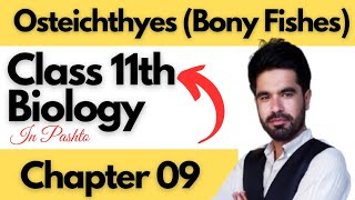 Bony Fishes Osteichthyes  Class 11th biology  Chapter 9 Diversity among animals [upl. by Irelav]