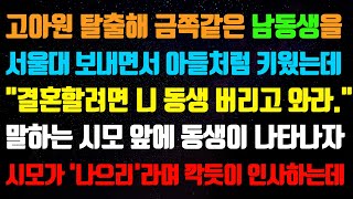 실화사연 고아원 탈출해 금쪽같은 남동생을 서울대 보내면서 아들처럼 키웠는데 상견례장에서 시모가 quot 결혼할려면 니 동생 버리고 와라quot 시모앞에 동생이 나타나자 [upl. by Radcliffe]