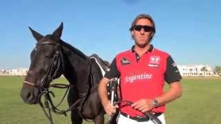 Learn how to play polo The Essential Guide by Steve Thompson [upl. by Lebaron750]