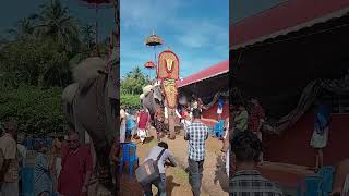 Puthucode Navarathri 6th Vilakku pambadyrajan [upl. by Acirretal]