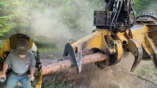 Feller Cutting Trees  Multi camera perspective [upl. by Condon]