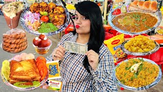 Rs 500 Street Food Challenge  Udaipur Food Challenge [upl. by Matthus323]