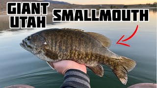 Smallmouth Bass Fishing Southern Utah NEW PB [upl. by Michon191]