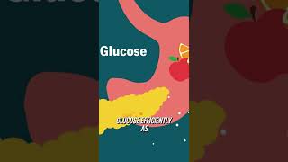 Understanding Insulin Resistance [upl. by Twum]