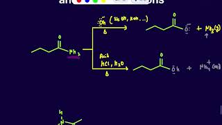 Hydrolysis of Amide under acidic and Basic Conditions [upl. by Georgette951]