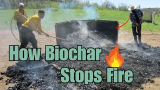 Biochar EXPERT with 15 Years Experience Shares Top Tips for Success [upl. by Sall664]