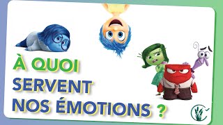 À quoi servent nos émotions comment les comprendre et comment les gérer [upl. by Marie]