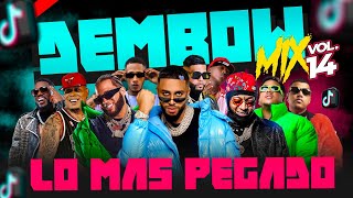 DEMBOW MIX VOL 14 🎵 LOS DEMBOW QUE MAS SUENAN EN TIKTOK Y LA CALLE 2O23 🎤 MEZCLADO POR DJ ADONI [upl. by Cloe]