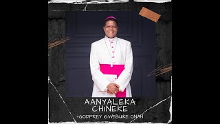 Akr M G Nsoo Official Audio  Bishop Godfrey Igwebuike ONAH [upl. by Pesek]