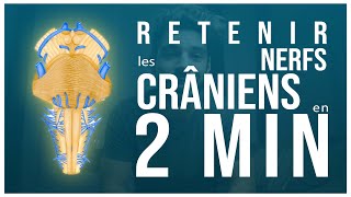 RETENIR les NERFS CRÂNIENS en moins de 2 min 🧠 [upl. by Ariajaj924]