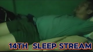 14TH SLEEP STREAM live sleepstream [upl. by Eveivenej]