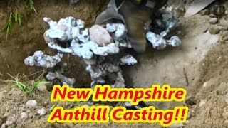 Ant Hill Casting with Molten Aluminum [upl. by Preciosa]