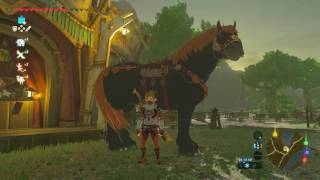 Breath of the Wild How to Customize Your Horse [upl. by Sleinad531]