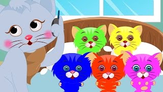 Five Little Kittens  Five Little  Kids Songs With Lyrics For Babies  Nursery Rhymes [upl. by Ecirtel985]