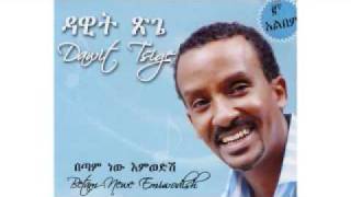 Tamrialesh By Dawit Tsige [upl. by Pritchett874]