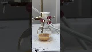 Synthesis of Sunscreen [upl. by Maddy]