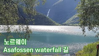 NORWAYSkjolden기항지Asafosen waterfall [upl. by Eleonora786]