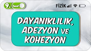 Dayanıklılık Adezyon ve Kohezyon  Somut Örneklerle Anlatım  9Sınıf Fizik 2023 [upl. by Emile]