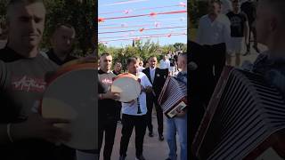 Muzik live sipas tradites Shqiptare ne marrje nuse [upl. by Eibur866]