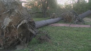 Waycross couple thankful after several pine trees fall during Helene nearly missing home truck [upl. by Viddah]