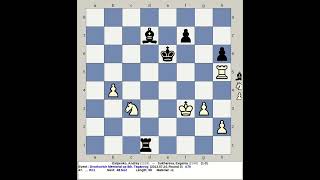 Esipenko Andrey vs Sukhareva Evgenia  Dvorkovich Memorial Chess Open 8th 2013 Taganrog Russia [upl. by Tiphany]