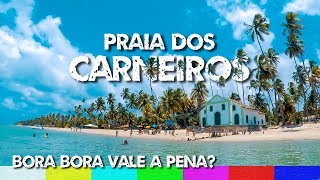 Praia dos Carneiros Bora Bora Vale a Pena  Pernambuco [upl. by Madeleine]