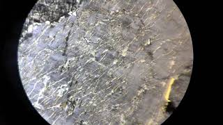 Petrology Thin Section Perthite in Monzonite [upl. by Dlawso]