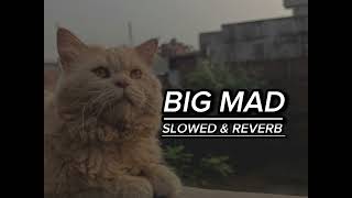 BIG MAD SLOWED amp REVERB Tarna Byg ByrdBlamo JyoyhiTatter UR Music [upl. by Karwan]