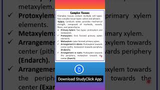 Complex Tissues  Anatomy of Flowering Plants  Part 4 neet biologyclass classxibiology [upl. by Nata289]