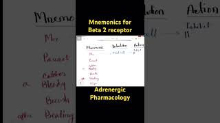 Beta 2 receptor mnemonic adrenergic pharmacology mnemonic shorts DrAminulIslam123 [upl. by Naeerb]