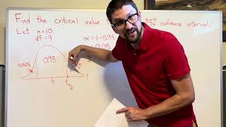 Critical t Value Confidence Interval [upl. by Hofmann]