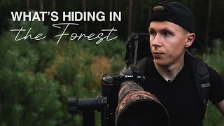 Whats hiding in the forest  Wildlife Photography VLOG [upl. by Conlon]