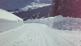 Schlitteln in Grindelwald Bussalp SnowRunCrash [upl. by Etezzil]