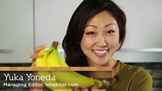 How to eat banana peels  with Yuka Yoneda [upl. by Modern674]