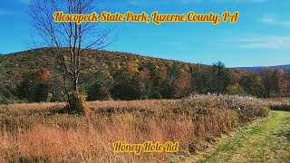 Honey Hole Rd Nescopeck State Park Luzerne County PA USA [upl. by Crystie507]