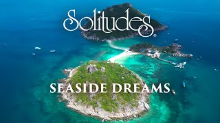 Dan Gibson’s Solitudes  Introspection  Seaside Dreams [upl. by Odlaumor]