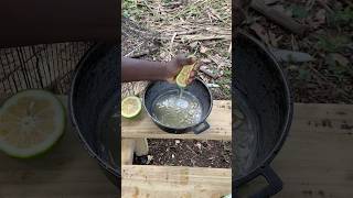 Sour Orange Juice On My Farm In Jamaica shortsfeed food orange orangejuice fruit [upl. by Akemor]