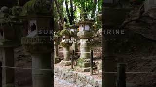 Kasuka Taisha Shrine nara japan [upl. by Aicineohp76]