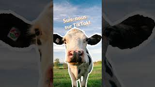 Shorts  Le saviastu  Cest quoi les surfaces destivage  Herbages suisses  Swissmilk 2024 [upl. by Llessur]