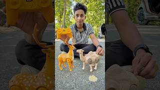 Rc Camel And Remote Control Deer Unboxing🔥🦌 [upl. by Eglantine]