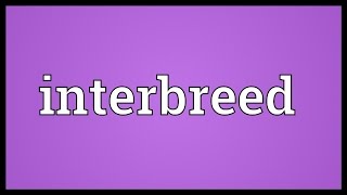 Interbreed Meaning [upl. by Murage805]