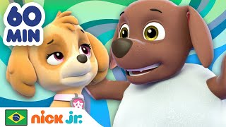 Patrulha Canina  Os resgates mais corajosos de Skye e Zuma por 1 hora  Nick Jr em Português [upl. by Albie]