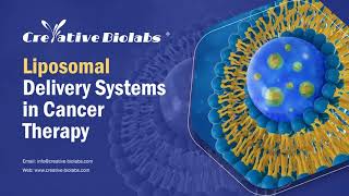 Liposomal Delivery Systems in Cancer Therapy  Creative Biolabs [upl. by Knox]