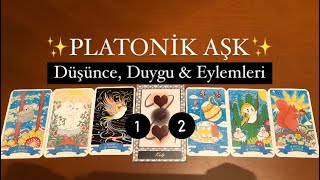 PLATONİKLER ✨Güncel ENERJİSİ ✨ platonikaşk aklimdakikisi desteseç tarot [upl. by Godred259]