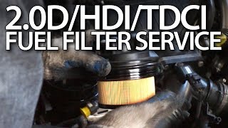 How to change fuel filter in Volvo 20D Ford 20TDCi Peugeot 20HDi 136PS Citroen [upl. by Sissie967]