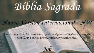 Español  La Biblia hablada  Job COMPLETO  Nueva Version Internacional NVI [upl. by Amund635]