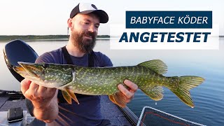 Neue Babyface Baits im Test  Hechtangeln mit Nippon Tackle [upl. by Gerk410]